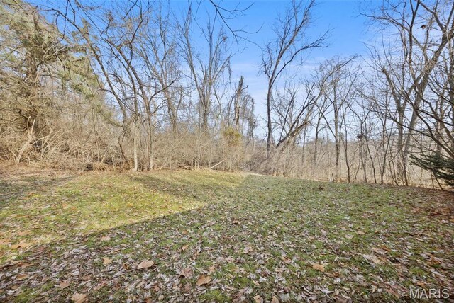14060 Old Jamestown Rd, Black Jack, MO 63033 - photo 31