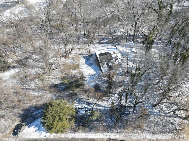 14060 Old Jamestown Rd, Black Jack, MO 63033 - photo 34