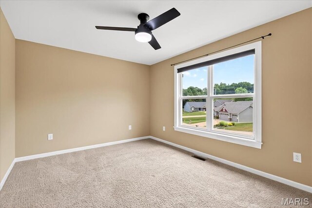 209 Sutherland Falls Ct, Festus, MO 63028 - photo 19