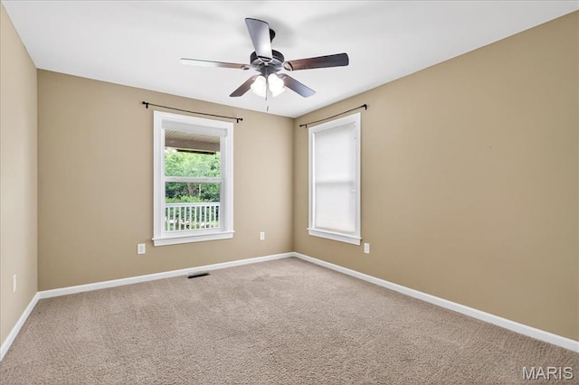 209 Sutherland Falls Ct, Festus, MO 63028 - photo 22
