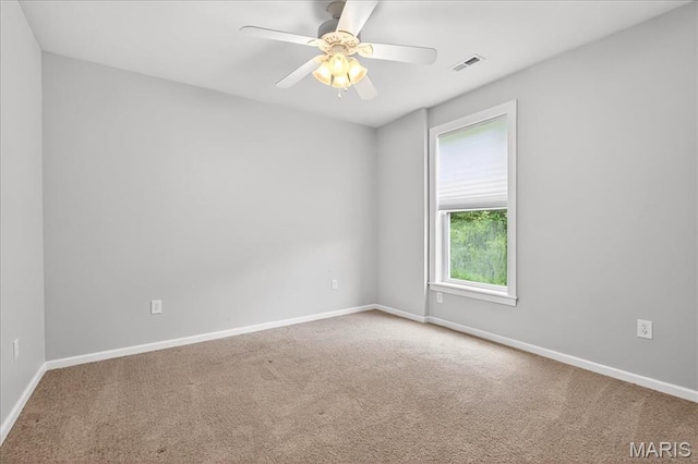 209 Sutherland Falls Ct, Festus, MO 63028 - photo 24