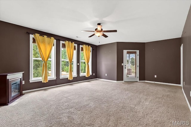 209 Sutherland Falls Ct, Festus, MO 63028 - photo 27