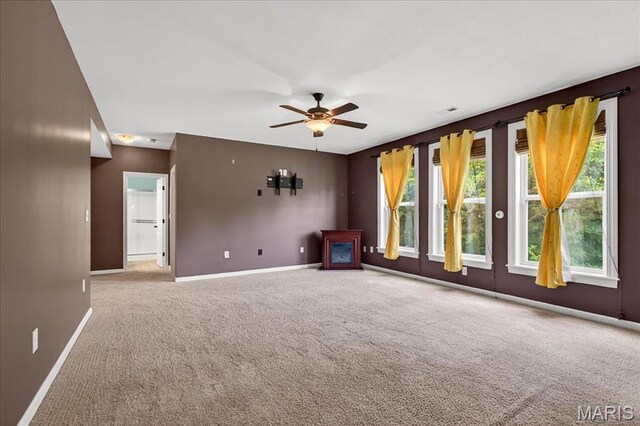 209 Sutherland Falls Ct, Festus, MO 63028 - photo 29