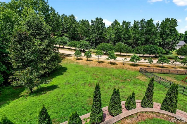 209 Sutherland Falls Ct, Festus, MO 63028 - photo 42
