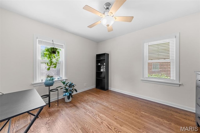 120 Lemay Gardens Dr, Saint Louis, MO 63125 - photo 13