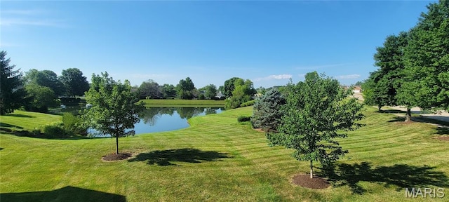2154 Ingalls Cir Unit 1451C, Ofallon, MO 63368 - view of home's community featuring a water view and a yard
