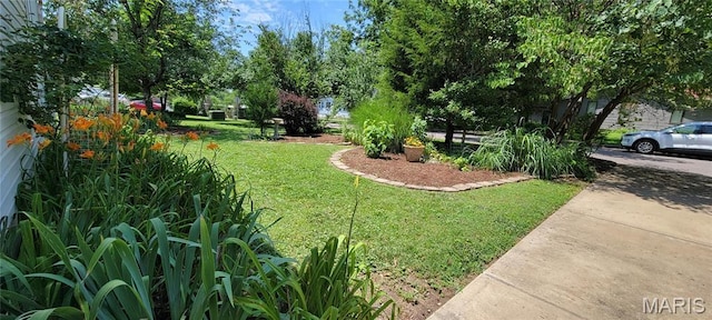 11112 Morrow Dr, Saint Ann, MO 63074 - view of green lawn