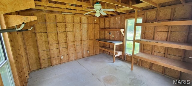 11112 Morrow Dr, Saint Ann, MO 63074 - storage featuring ceiling fan