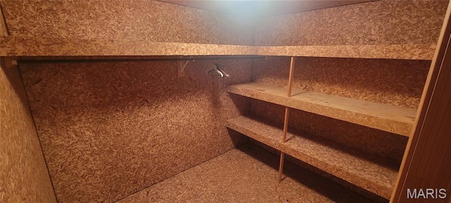 11112 Morrow Dr, Saint Ann, MO 63074 - storage room with a sauna / steam room