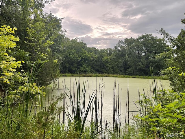 7700 Indian Bend Rd, Rosebud, MO 63091 - photo 3