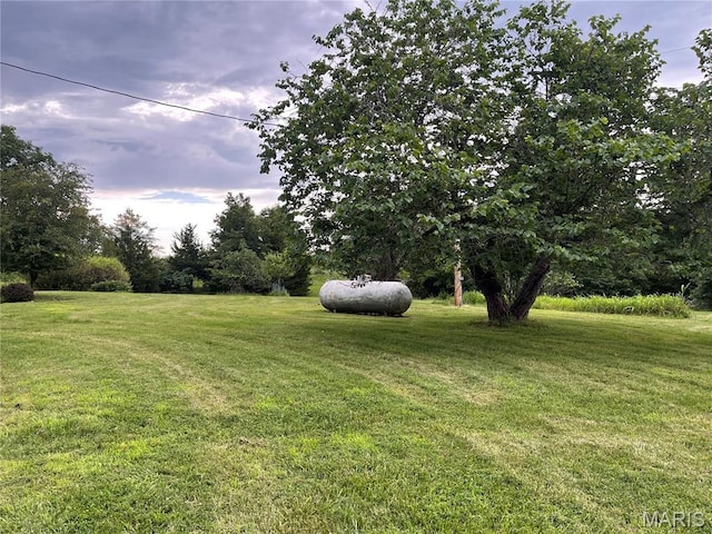 7700 Indian Bend Rd, Rosebud, MO 63091 - photo 13