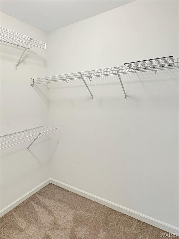 2005 Jessica Hills Ct, Washington, MO 63090 - photo 32