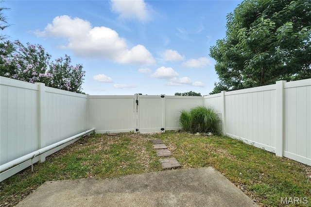 174 Carmel Woods Dr, Ellisville, MO 63021 - photo 22