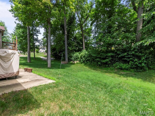 93 Stonebridge Crossing Dr, Maryville, IL 62062 - photo 39