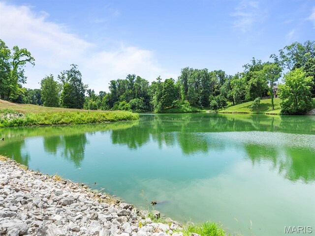 93 Stonebridge Crossing Dr, Maryville, IL 62062 - photo 48
