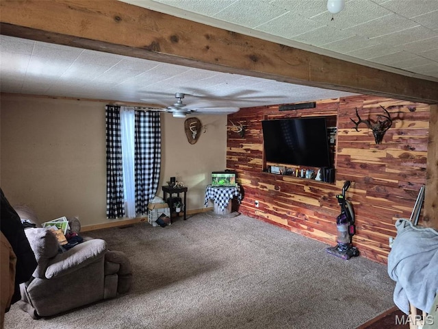 111 S College St, Arcadia, MO 63621 - photo 1