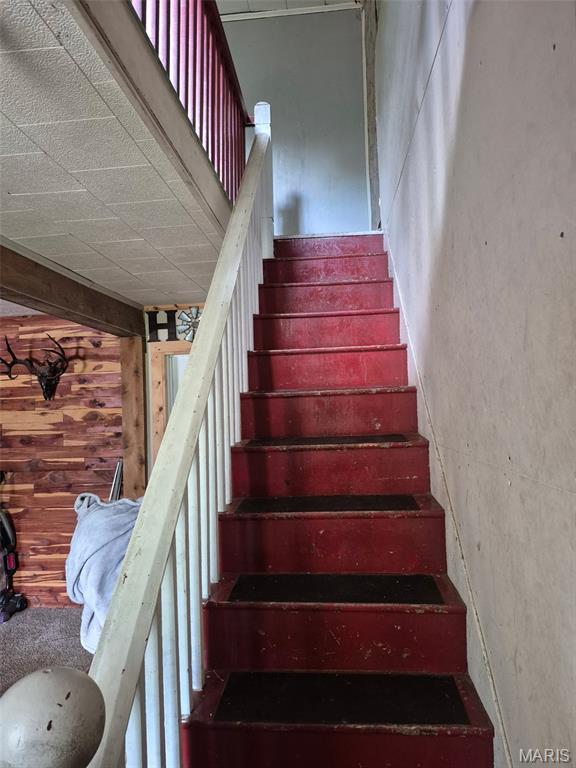 111 S College St, Arcadia, MO 63621 - photo 7