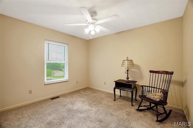 700 Essex St, De Soto, MO 63020 - photo 17