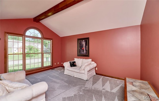 390 Portsmouth Dr, Saint Charles, MO 63303 - photo 9