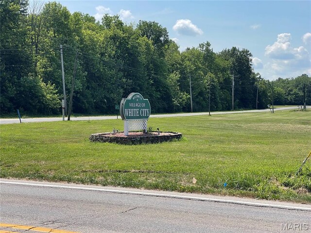 TBD Route 138, Mount Olive, IL 62069 - photo 15