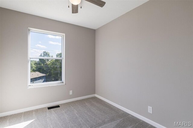 2120 Meadow Brook Dr, De Soto, MO 63020 - photo 14