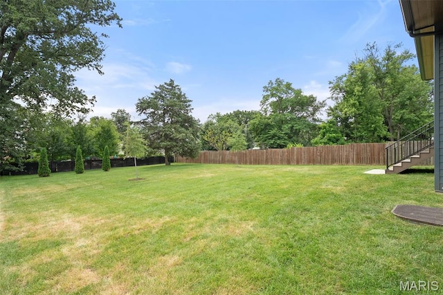 532 S Fillmore Ave, Kirkwood, MO 63122 - photo 59