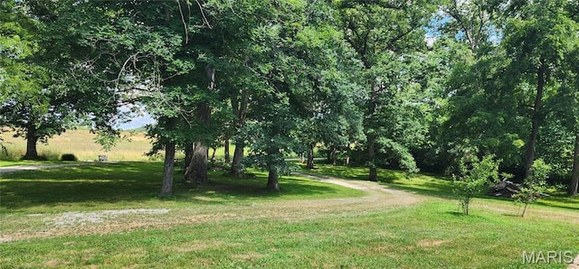 5179 County Road 135, Williamsburg, MO 63388 - photo 2
