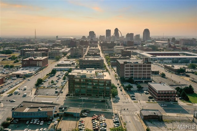 2323 Locust St Unit 405, Saint Louis, MO 63103 - view of city
