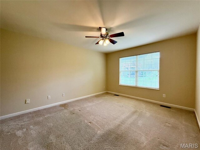 10218 Carlton Place Ct, Affton, MO 63123 - photo 21
