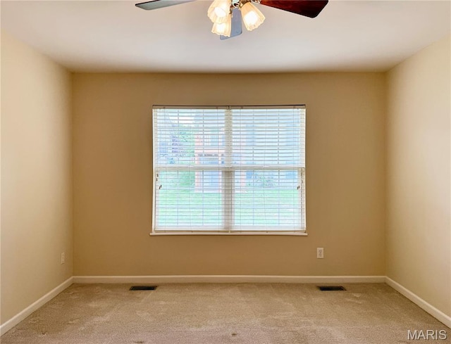 10218 Carlton Place Ct, Affton, MO 63123 - photo 22