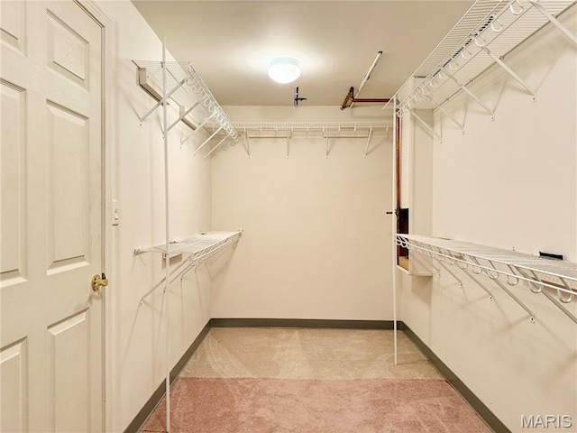 10218 Carlton Place Ct, Affton, MO 63123 - photo 37