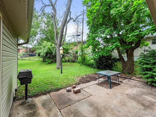 2216 Apple Bud Ln, Saint Louis, MO 63125 - photo 19