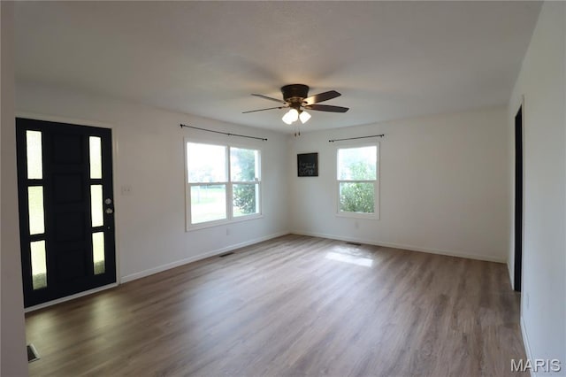 1001 E 2nd St, Saint Peter, IL 62880 - entryway with wood finished floors and ceiling fan
