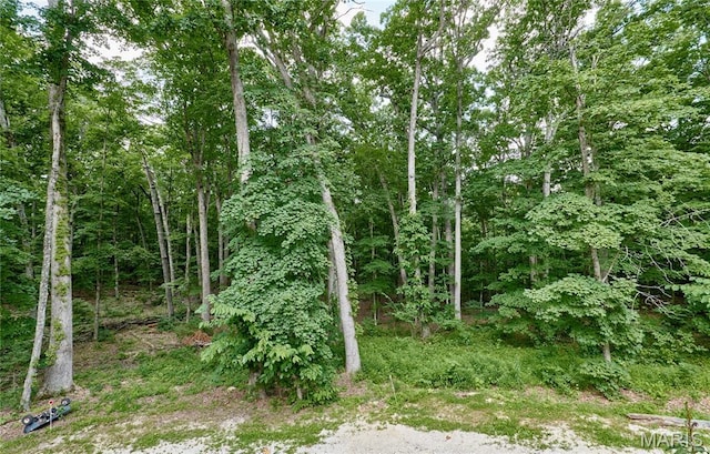 1939 N Rock Church Rd, Troy, MO 63379 - view of nature