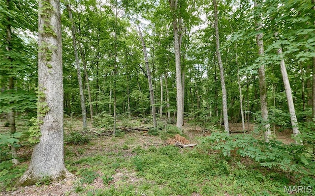 1939 N Rock Church Rd, Troy, MO 63379 - view of tree filled area
