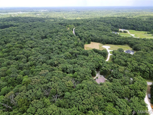 1939 N Rock Church Rd, Troy, MO 63379 - aerial view of property's location featuring a heavily wooded area