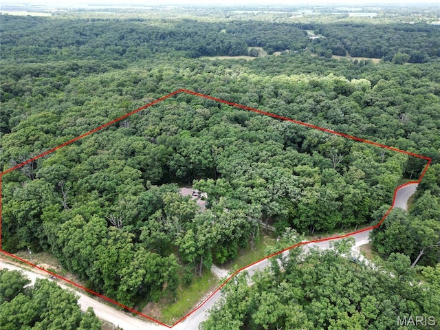 1939 N Rock Church Rd, Troy, MO 63379 - aerial overview of property's location with a forest and property boundaries highlighted