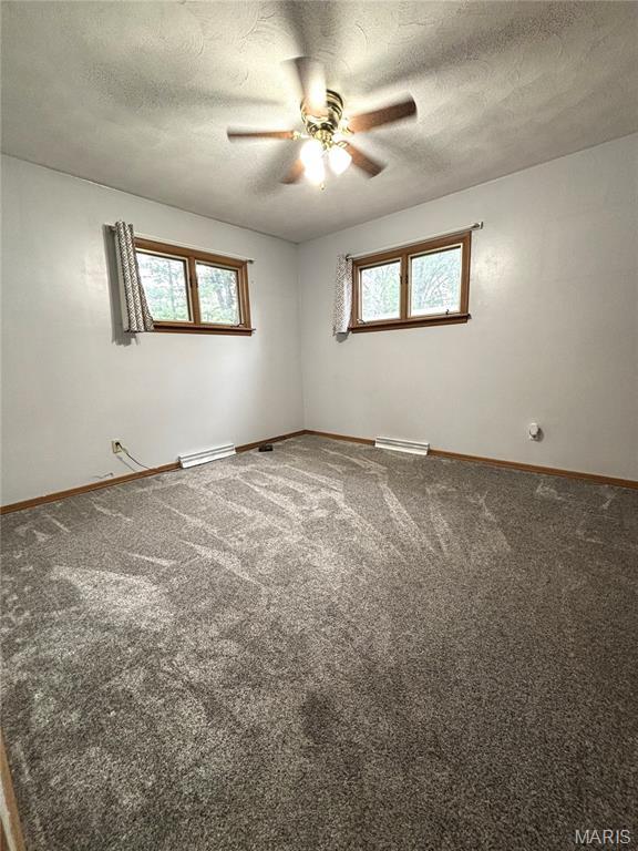 917 Chicago St, Greenville, IL 62246 - photo 14