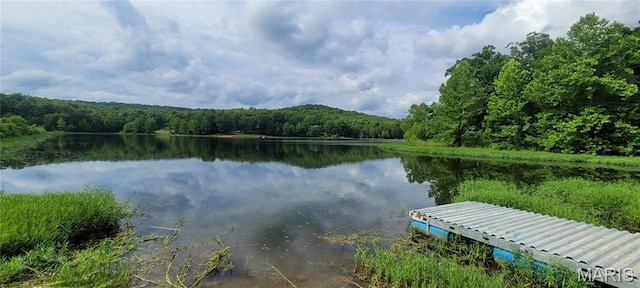 2126 Big River Trl, Trail, MO 63020 - photo 6