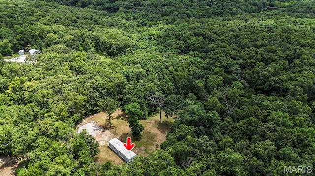 2126 Big River Trl, Trail, MO 63020 - photo 11
