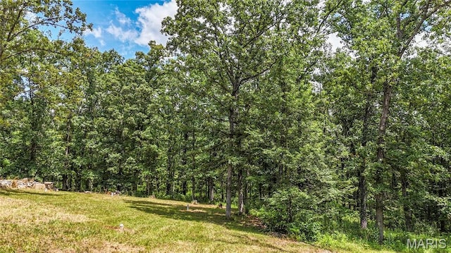 2126 Big River Trl, Trail, MO 63020 - photo 15