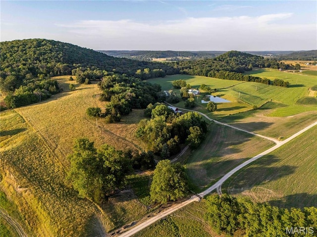 161 Van Booven Ln, Hermann, MO 65041 - photo 59