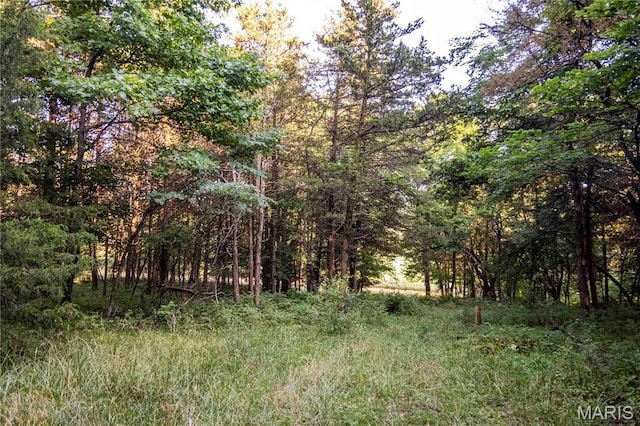 161 Van Booven Ln, Hermann, MO 65041 - photo 73