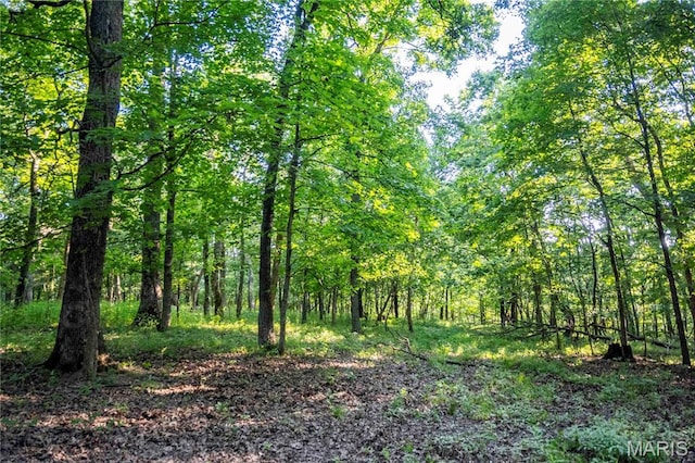 161 Van Booven Ln, Hermann, MO 65041 - photo 75