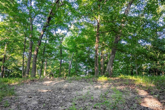 161 Van Booven Ln, Hermann, MO 65041 - photo 76