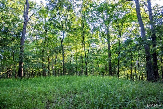 161 Van Booven Ln, Hermann, MO 65041 - photo 79