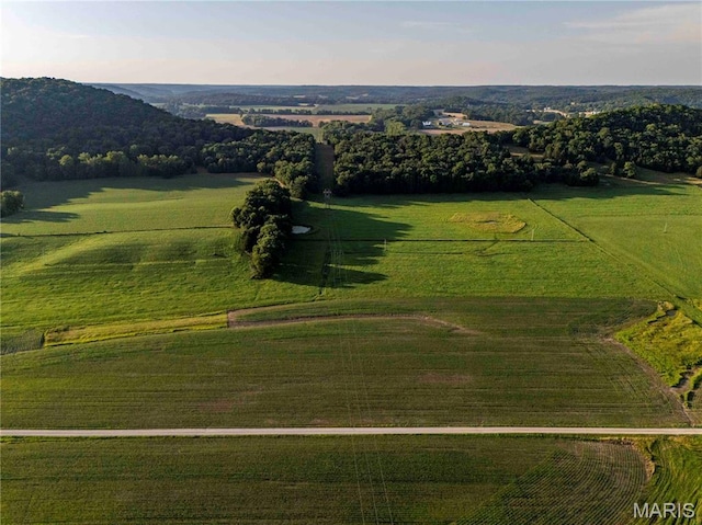161 Van Booven Ln, Hermann, MO 65041 - photo 81