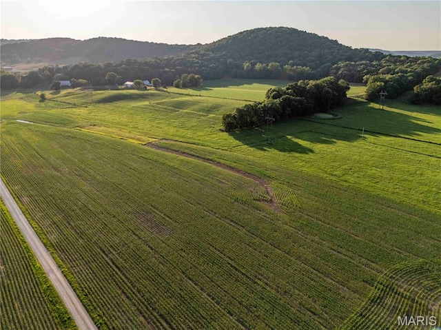 161 Van Booven Ln, Hermann, MO 65041 - photo 84