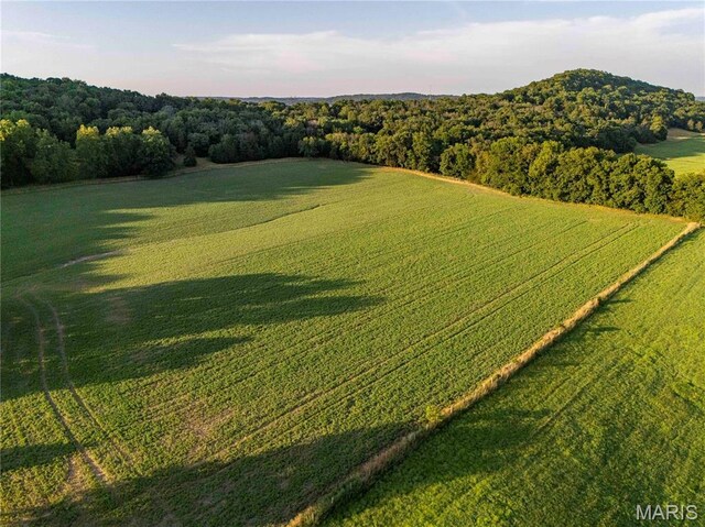 161 Van Booven Ln, Hermann, MO 65041 - photo 88