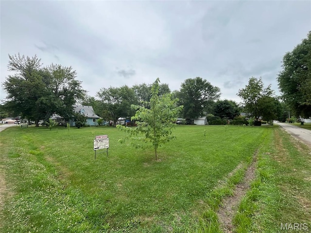 210 E Raymon Ave, Witt, IL 62094 - view of grassy yard